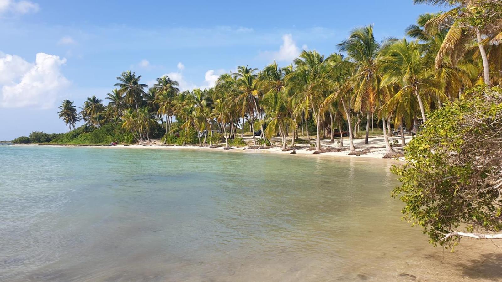 Studios Angoreva Vue Mer - Cote Plage Ou Jardin - Village Vacances - Sainte-Anne Guadeloupe Courcelles Eksteriør bilde